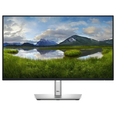 DELL Pro Plus P2425HE computer monitor