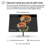 Monitorius HP Series 7 Pro 24 inch WUXGA Monitor - 724pn (8X534AA#ABB), vaizdas 12