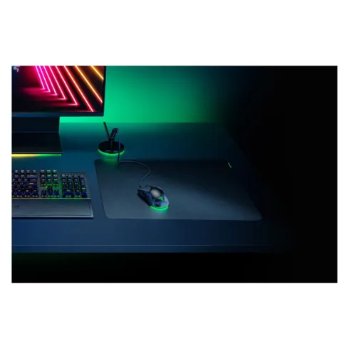 Pelės kilimėlis Razer Sphex V3 (RZ02-03820200-R3M1)