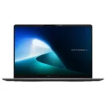 ASUS ExpertBook P5 P5405CSA-NZ0101