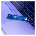 Western Digital Blue SN5000