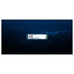 Kingston Technology DC2000B