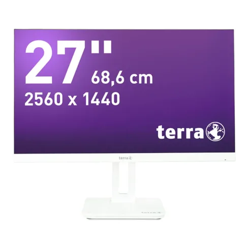 Monitorius TERRA 3030222