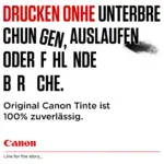 Rašalo kasetė Canon PG-595 (7171C001), vaizdas 7