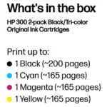 HP 300 2-pack Black/Tri-color Original Ink Cartridges ink cartridge