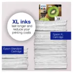 Rašalo kasetė Epson Kiwi 202 (C13T02E14010), vaizdas 4