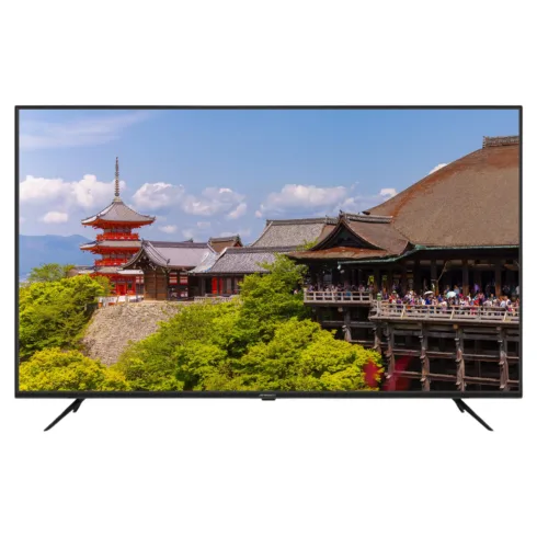 JAPANNEXT JN-IPS650UHD60F computer monitor
