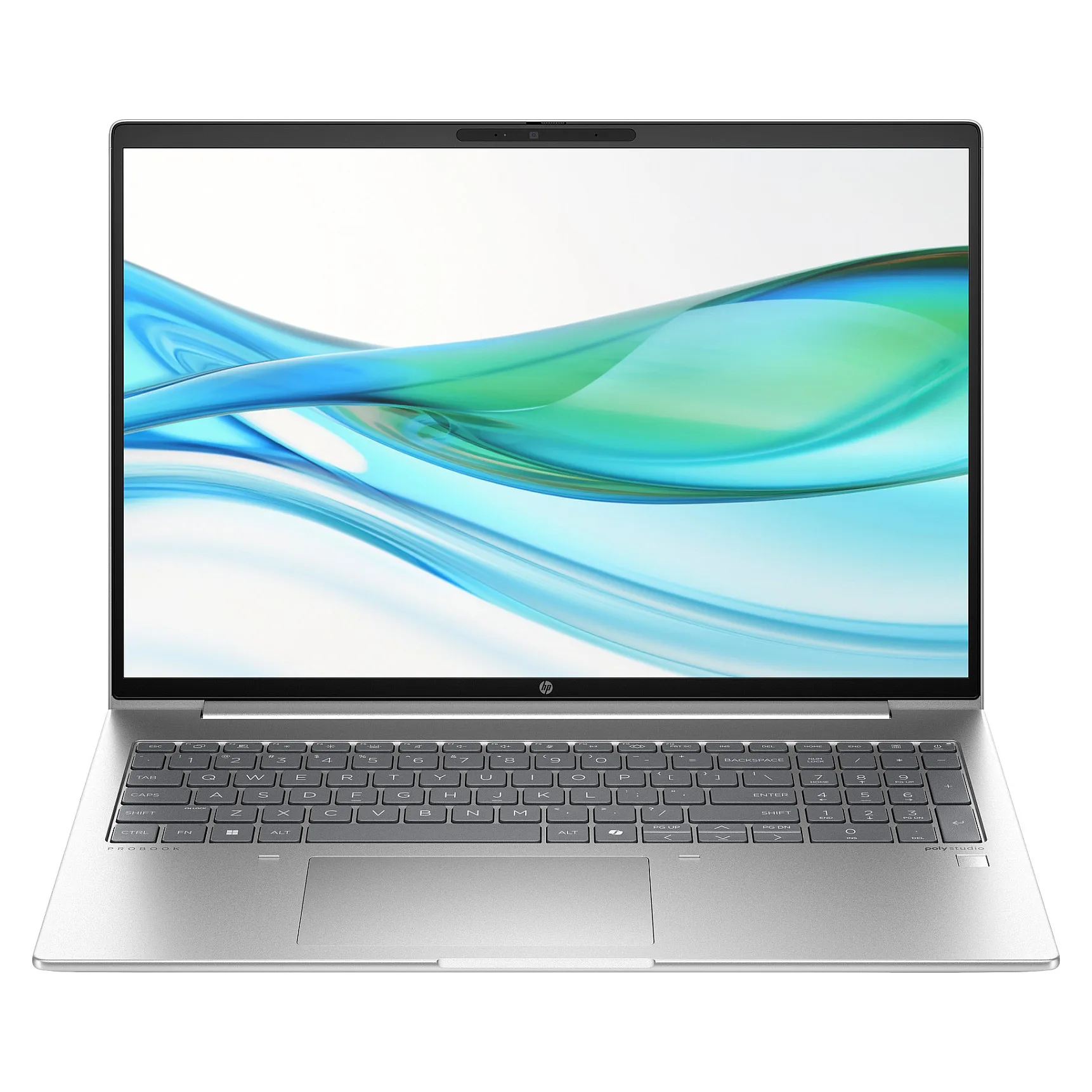 HP ProBook 460 G11 Nešiojamas kompiuteris HP ProBook 460 G11 (D05D2ES#ABD)