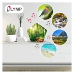 Olympia Sounds of Nature
