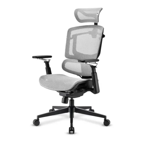 Sharkoon OfficePal C50M