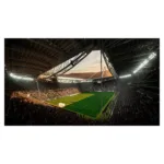 Electronic Arts FC 24, PS5
