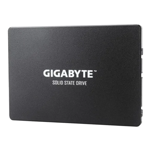 SSD diskas GIGABYTE GP-GSTFS31240GNTD