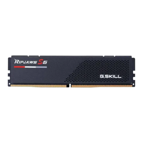 G.Skill Ripjaws S5 F5-5200J4040A32GX1-RS5K memory module