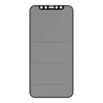 Apsauginis stiklas PanzerGlass Privacy Screen Protector iPhone 12, 12 Pro (P2711)