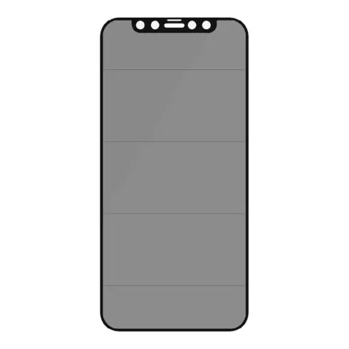 Apsauginis stiklas PanzerGlass Privacy Screen Protector iPhone 12, 12 Pro (P2711)