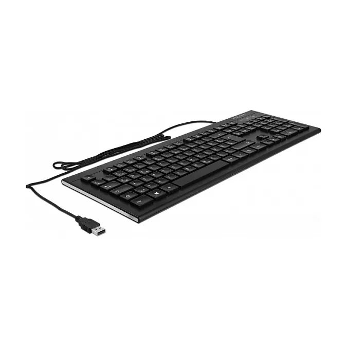 DeLOCK 12672 keyboard Klaviatūra DeLOCK 12672