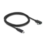USB kabelis DeLOCK 81710