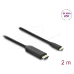 Vaizdo adapteris DeLOCK 80599, vaizdas 2