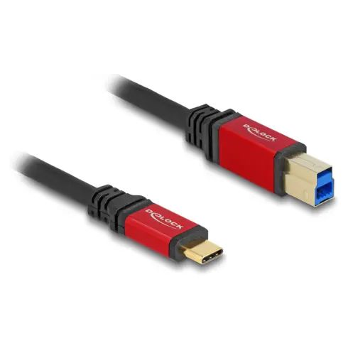 USB kabelis DeLOCK 80613