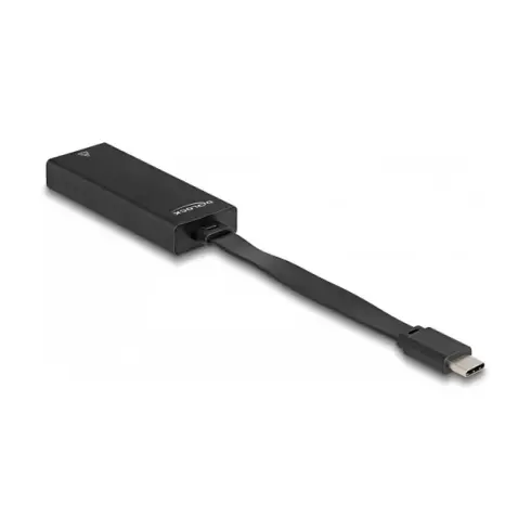 Kabelio adapteris DeLOCK 66246