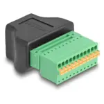 Kabelio adapteris DeLOCK 66244, vaizdas 2