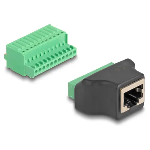 Kabelio adapteris DeLOCK 66244