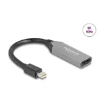 Vaizdo adapteris DeLOCK 64331