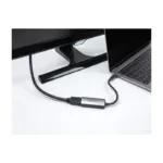 Vaizdo adapteris DeLOCK 64264