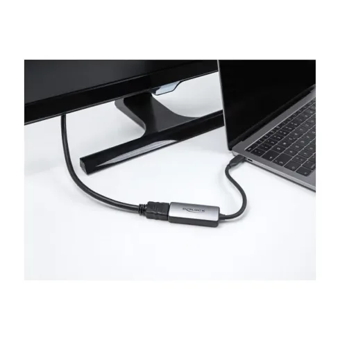 Vaizdo adapteris DeLOCK 64264