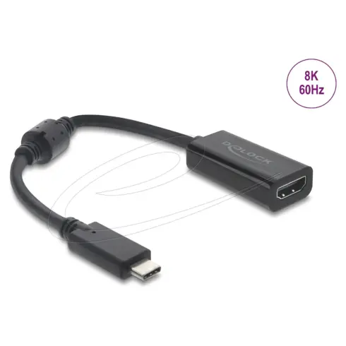 Vaizdo adapteris DeLOCK 61085
