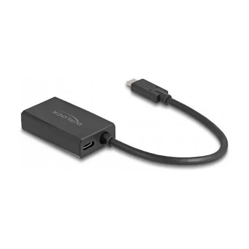 USB vaizdo adapteris DeLOCK 61058