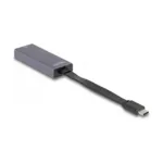 Kabelio adapteris DeLOCK 66248