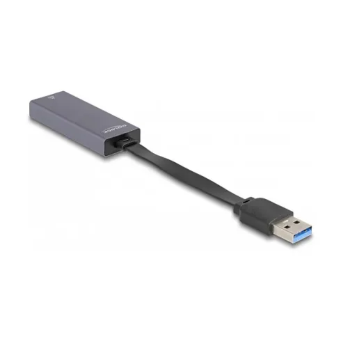 Kabelio adapteris DeLOCK 66247