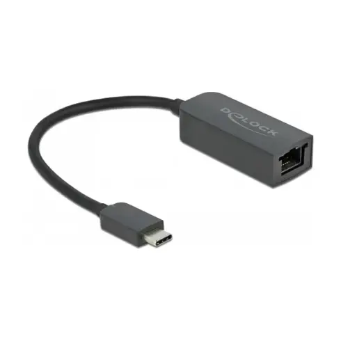 Kabelio adapteris DeLOCK 66645