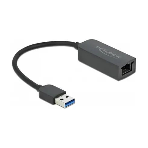 Kabelio adapteris DeLOCK 66646