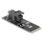 Sąsajos plokštė DeLOCK 61070