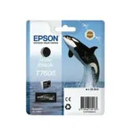 Rašalo kasetė Epson C13T76084N10