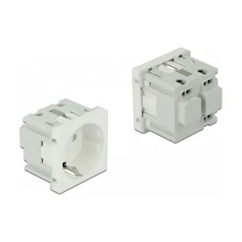 Elektros lizdas DeLOCK 81320