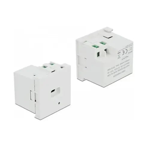 Elektros lizdas DeLOCK 81312