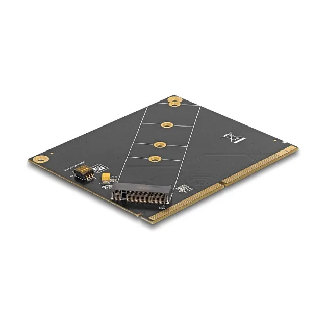 DeLOCK 61057 interface cards/adapter Sąsajos plokštė DeLOCK 61057
