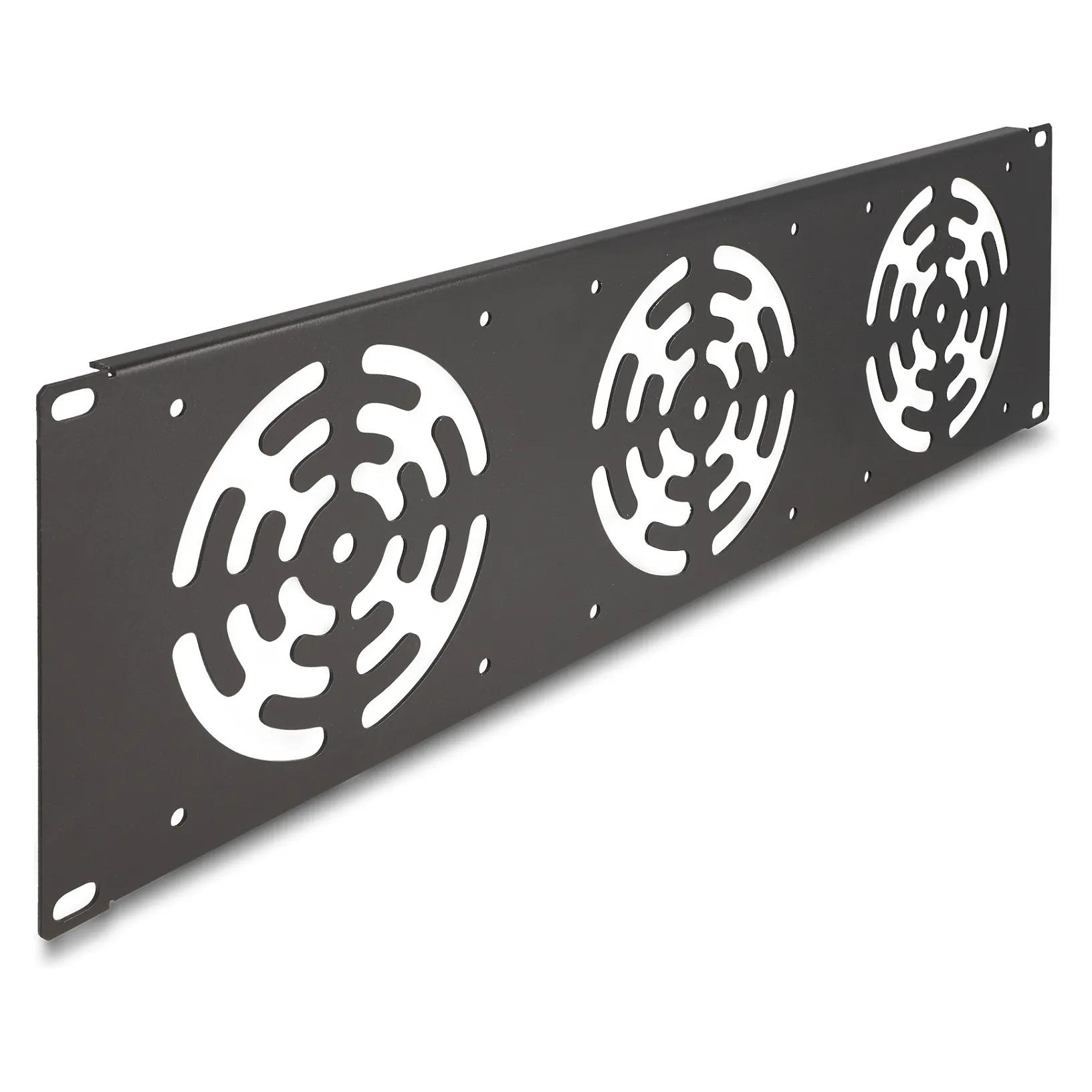 DeLOCK 66747 rack accessory Serverinės spintos priedas DeLOCK 66747