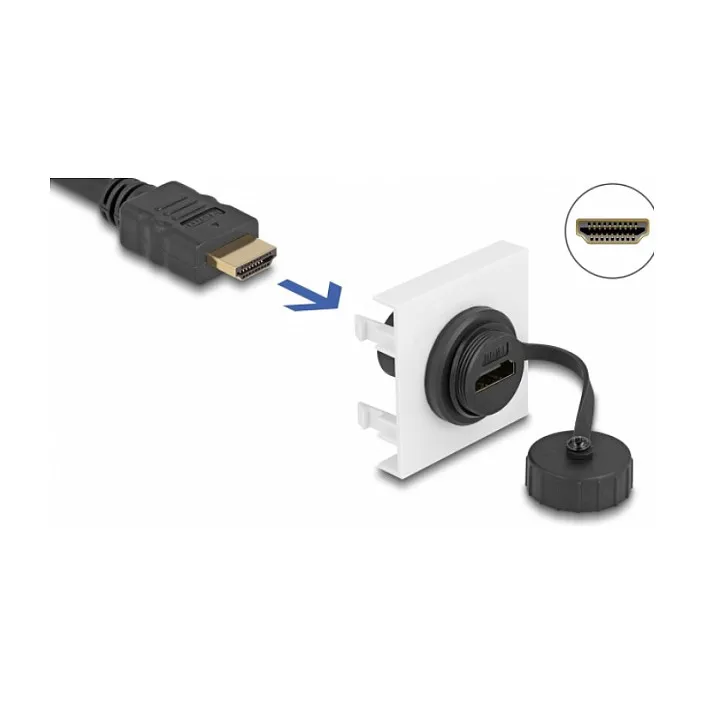 DeLOCK 81409 HDMI cable HDMI kabelis DeLOCK 81409