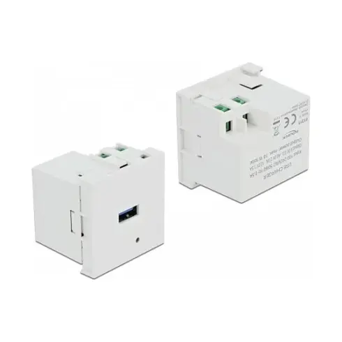 Elektros lizdas DeLOCK 81311