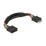 DeLOCK 0.1m 2xUSB2.0 10p