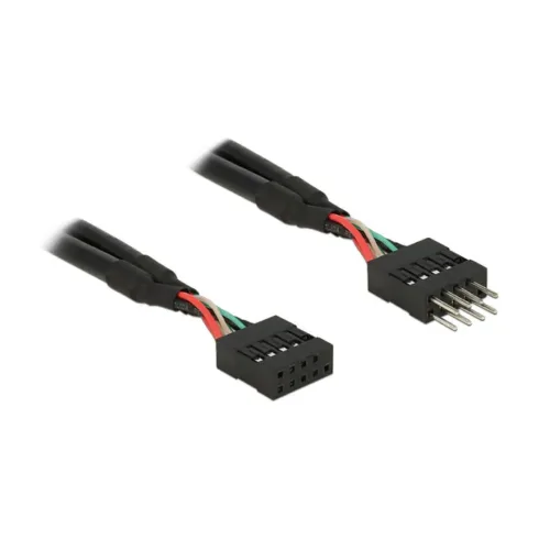 DeLOCK 0.1m 2xUSB2.0 10p