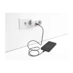 Adapteris DeLOCK 11498 power plug, vaizdas 4