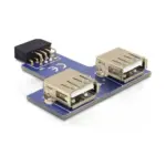 USB laidas ar adapteris DeLOCK 9-pin 2.54 mm/2 x USB 2.0 (41824)