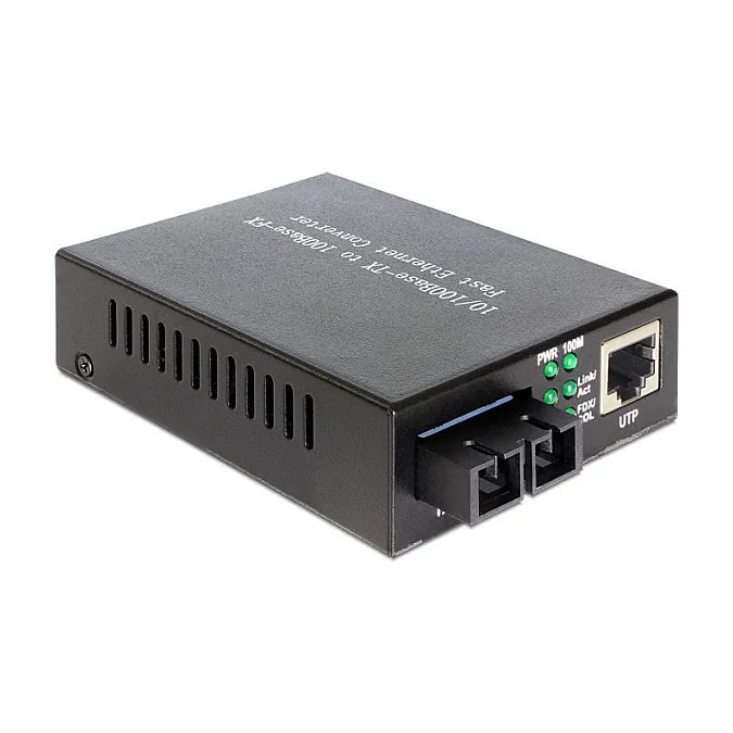 DeLOCK 86216 network media converter Tinklo keitiklis DeLOCK 86216