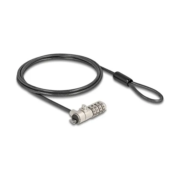 DeLOCK 20967 cable lock Apsauginis lynas DeLOCK 20967