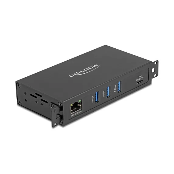 DeLOCK 64336 interface hub Šakotuvas DeLOCK 64336